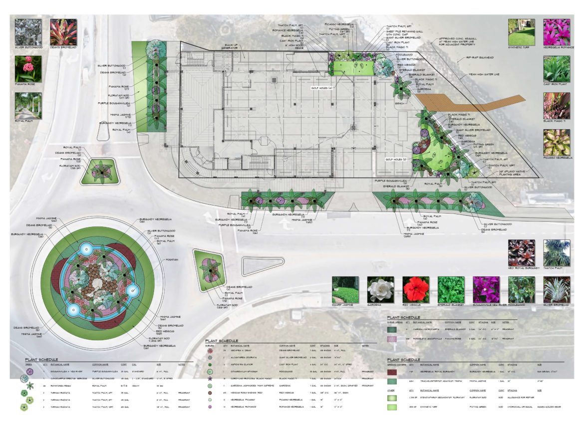Landscape design plan with plant details.