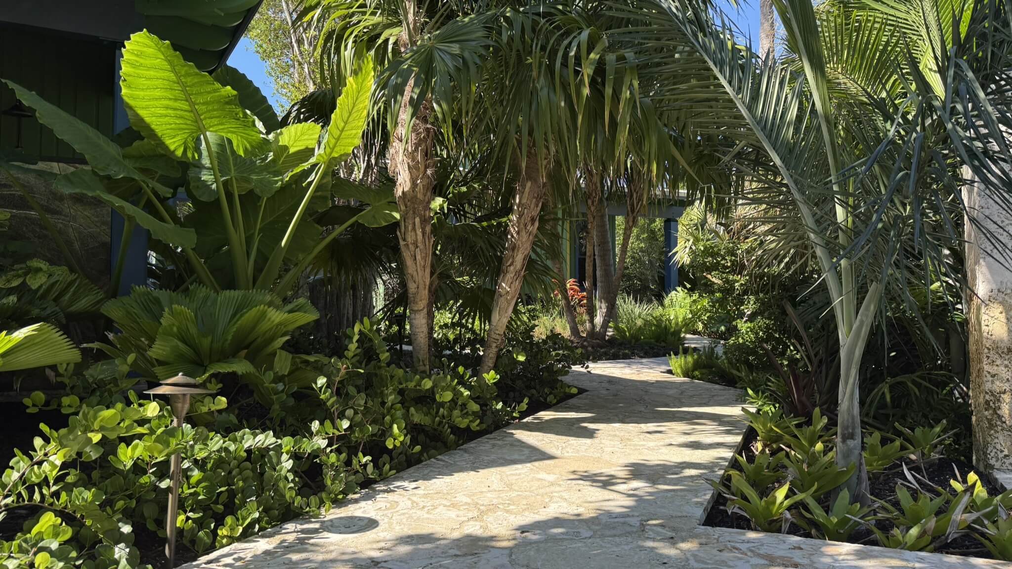 Tropical garden pathway with lush greenery.