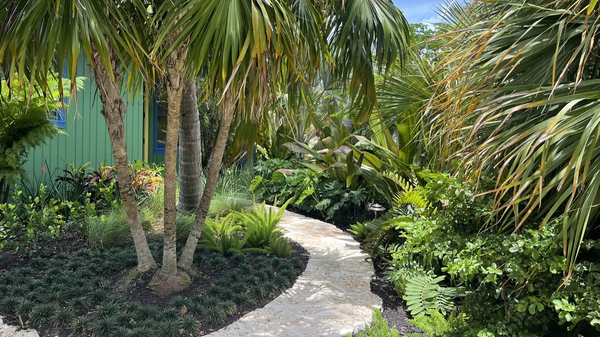 Tropical garden path with lush greenery.