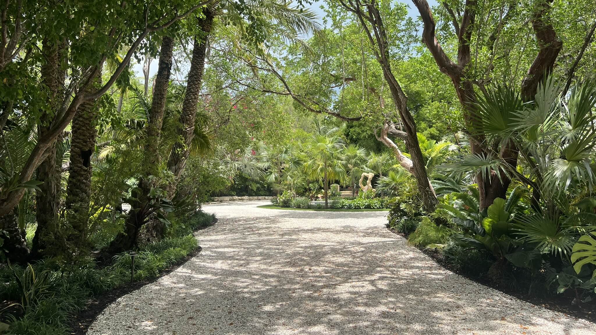 Tree-lined gravel path in a sunlit garden.