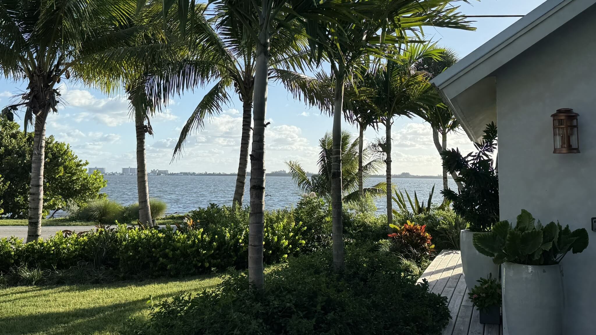 Tropical garden overlooking a peaceful ocean view.