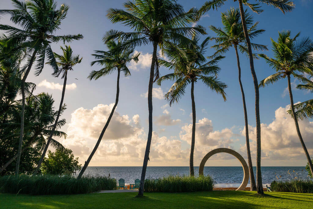 Tropical beach scene with palm trees.