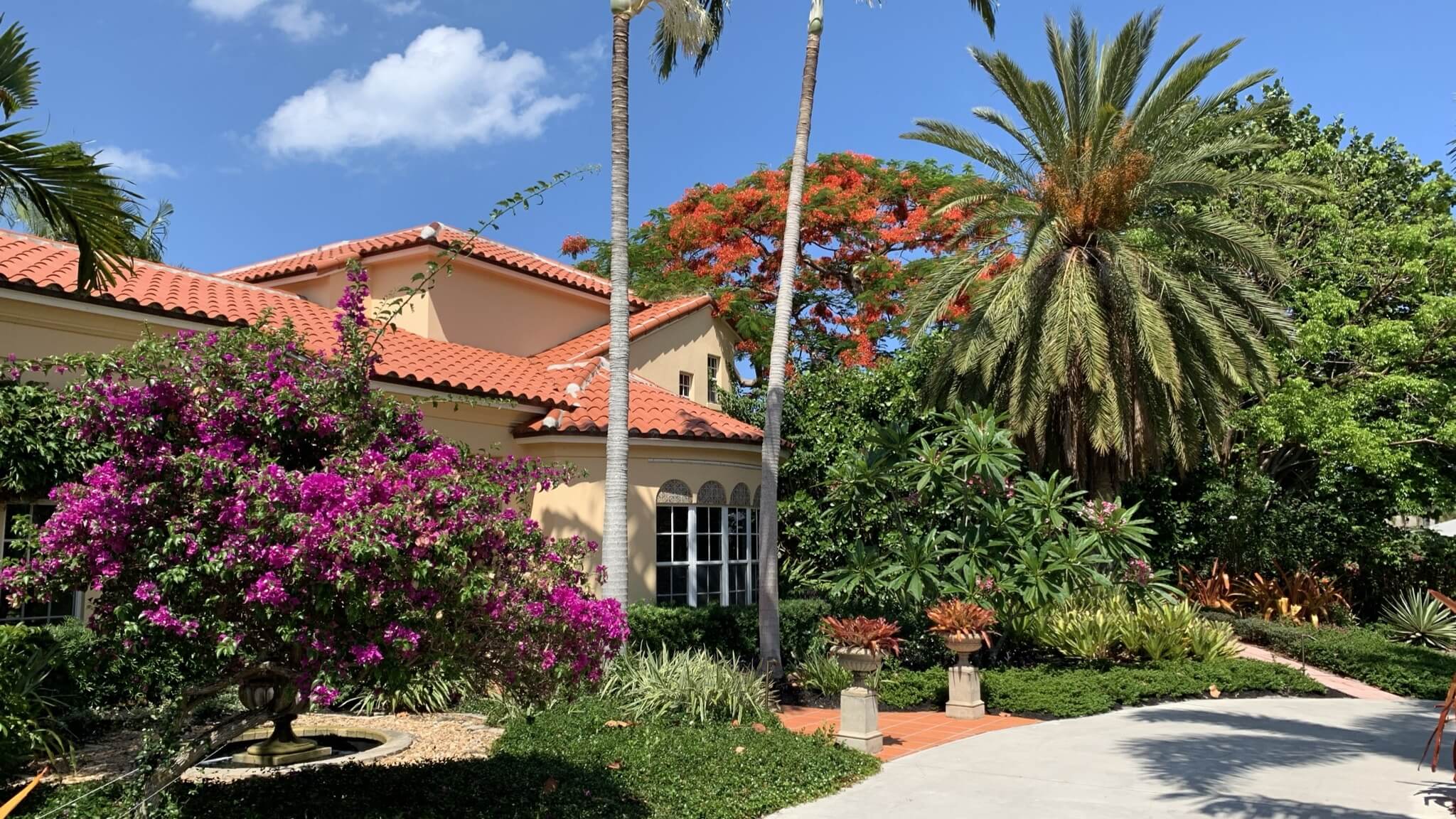 Tropical house with garden and palm trees.