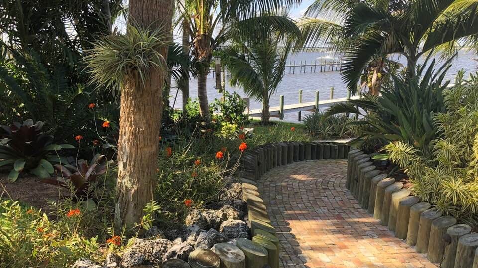 Garden path with tropical plants and water.