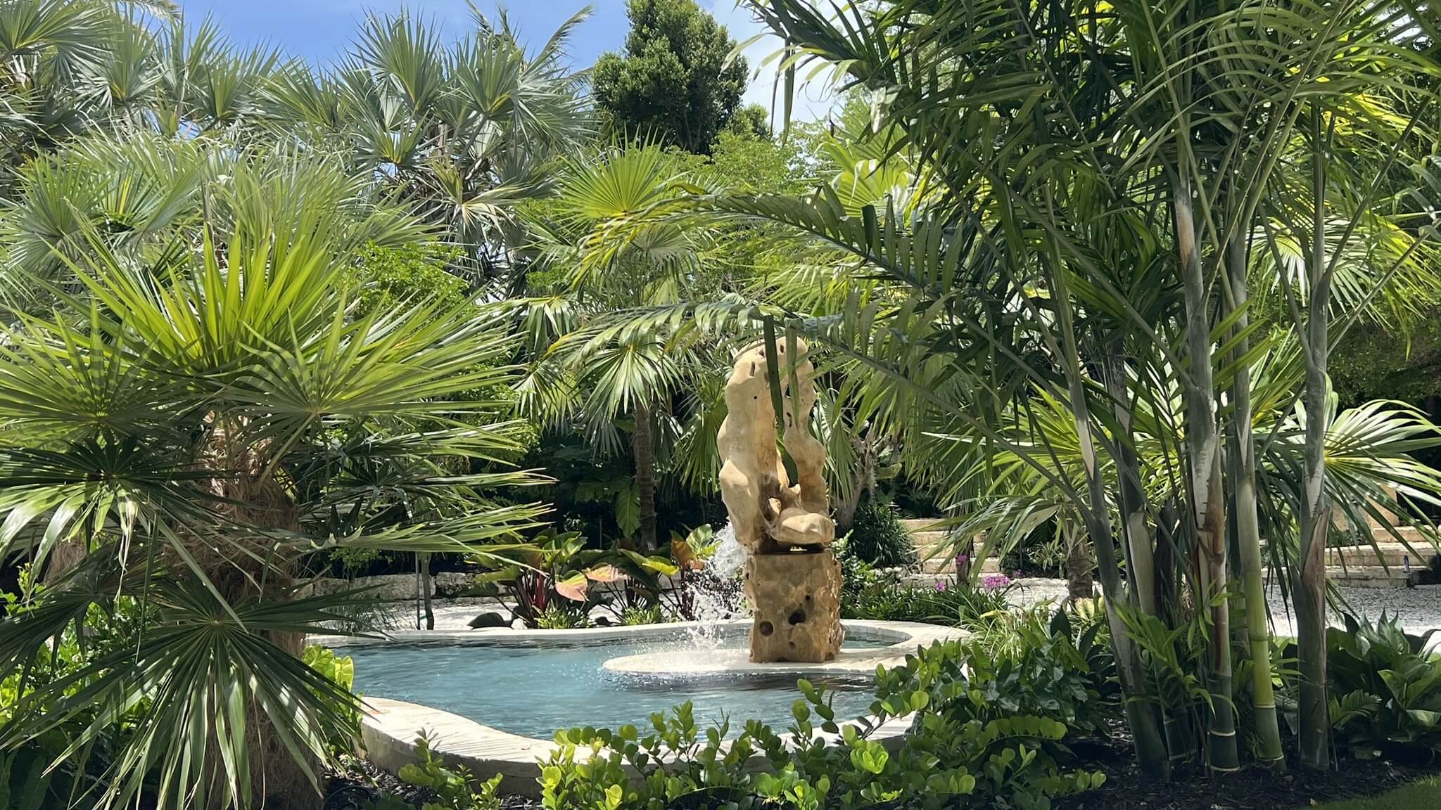 Garden fountain surrounded by lush green palm trees.