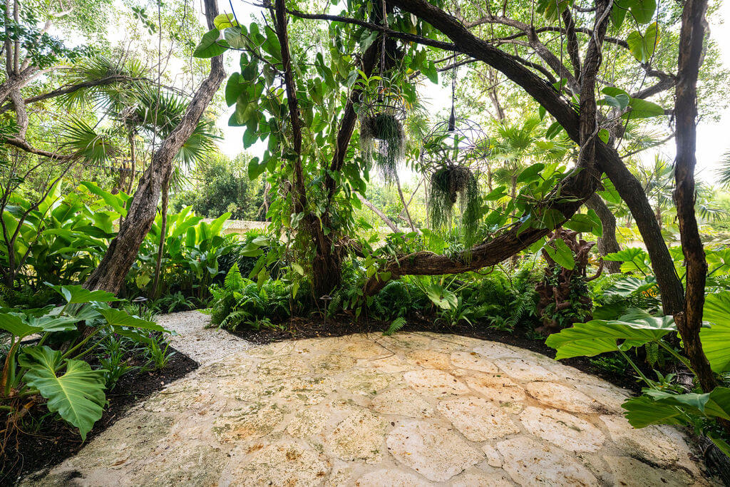 Lush garden path surrounded by tropical foliage.