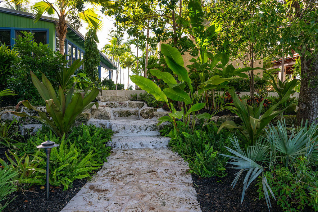 Stone pathway surrounded by lush green plants.