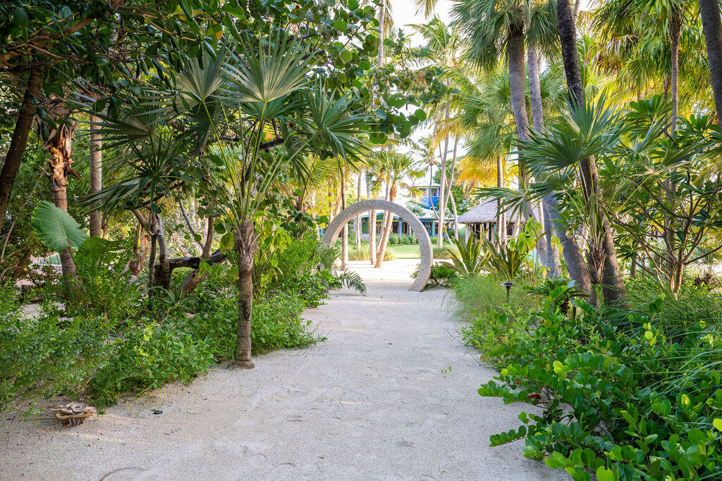 Tropical garden path with circular archway.