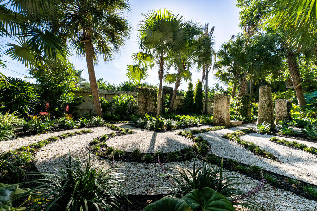 Tropical garden with palm trees and pathways.